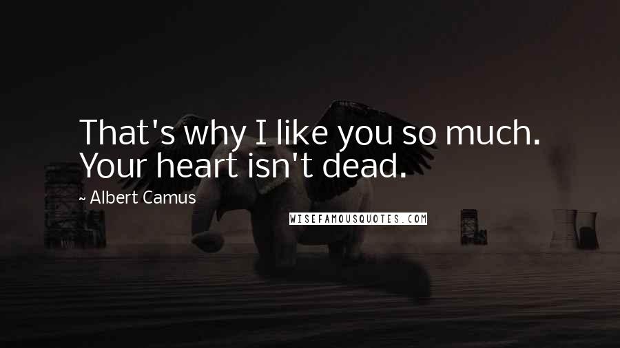 Albert Camus Quotes: That's why I like you so much. Your heart isn't dead.