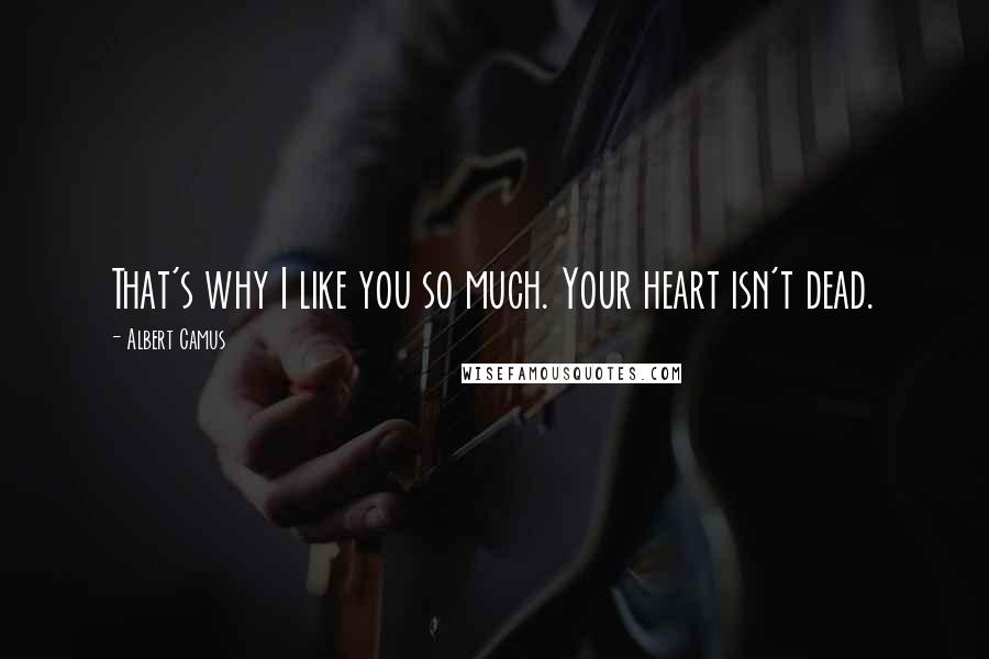 Albert Camus Quotes: That's why I like you so much. Your heart isn't dead.