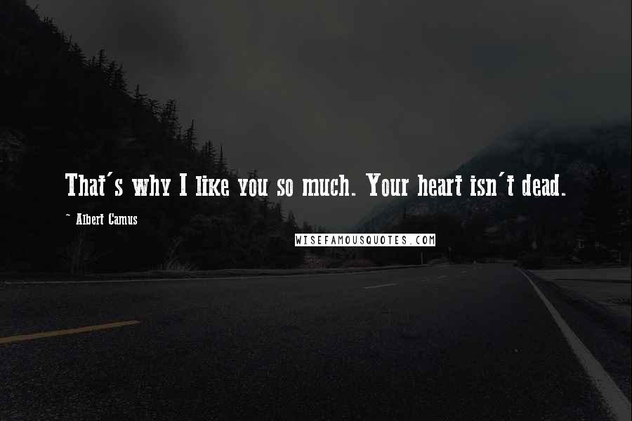 Albert Camus Quotes: That's why I like you so much. Your heart isn't dead.