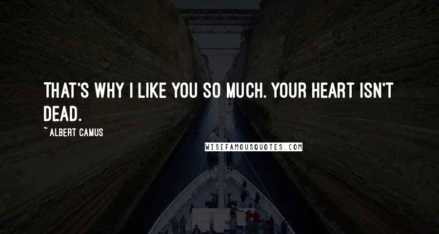 Albert Camus Quotes: That's why I like you so much. Your heart isn't dead.