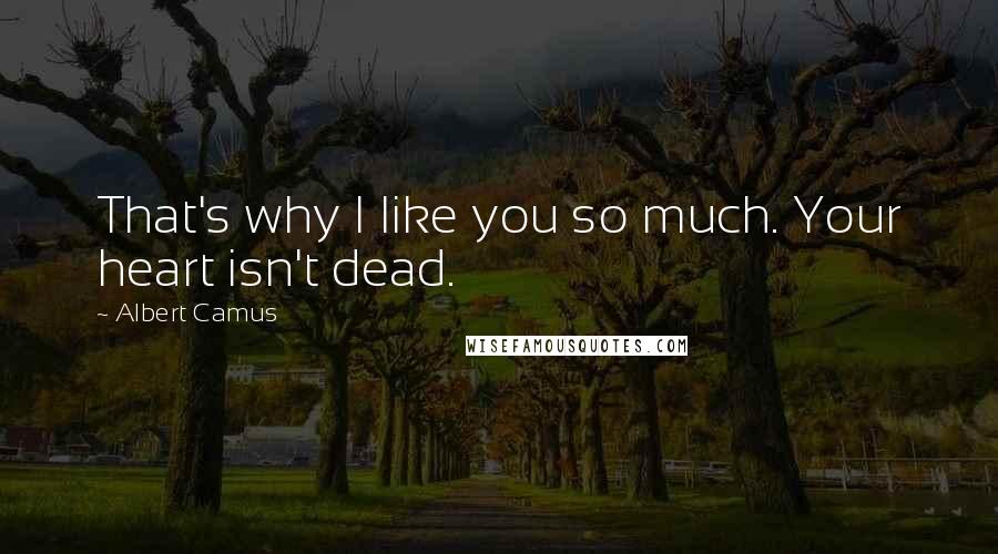 Albert Camus Quotes: That's why I like you so much. Your heart isn't dead.