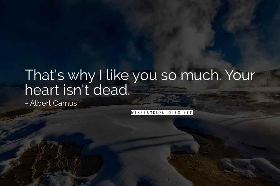 Albert Camus Quotes: That's why I like you so much. Your heart isn't dead.