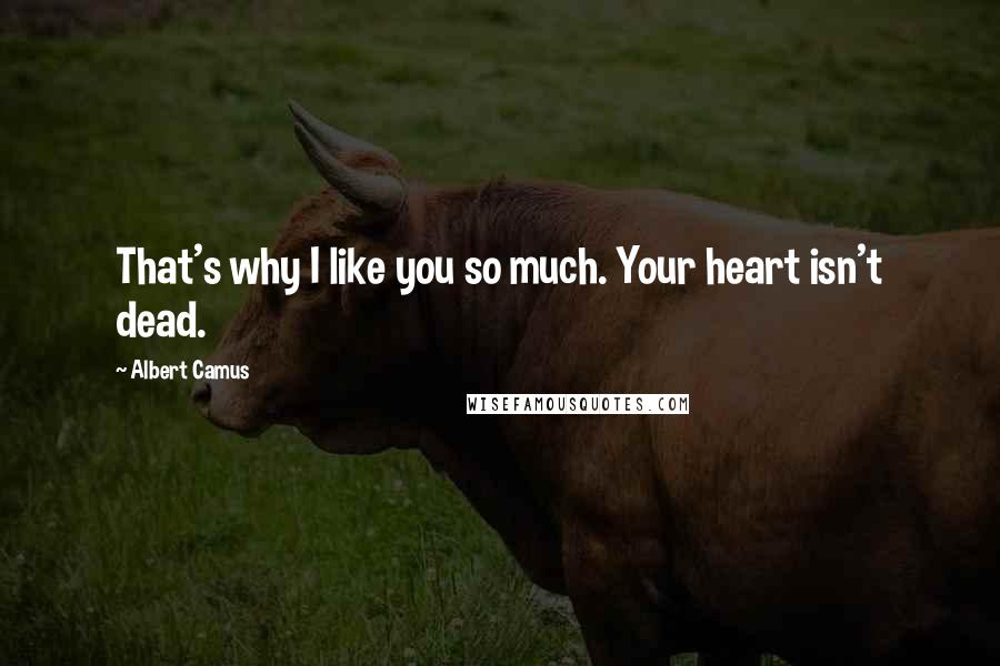 Albert Camus Quotes: That's why I like you so much. Your heart isn't dead.