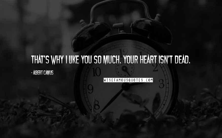 Albert Camus Quotes: That's why I like you so much. Your heart isn't dead.