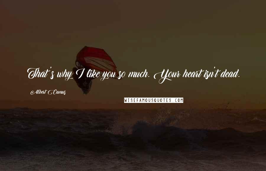 Albert Camus Quotes: That's why I like you so much. Your heart isn't dead.