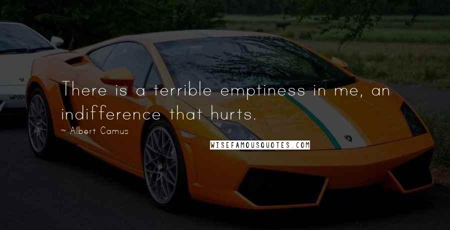 Albert Camus Quotes: There is a terrible emptiness in me, an indifference that hurts.