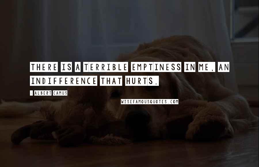 Albert Camus Quotes: There is a terrible emptiness in me, an indifference that hurts.