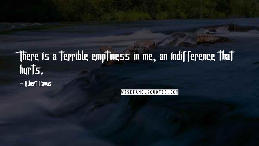 Albert Camus Quotes: There is a terrible emptiness in me, an indifference that hurts.