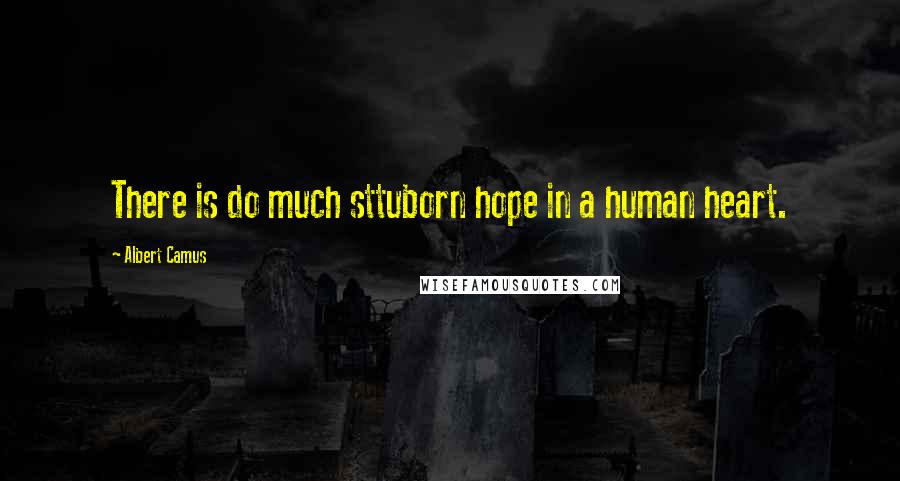 Albert Camus Quotes: There is do much sttuborn hope in a human heart.