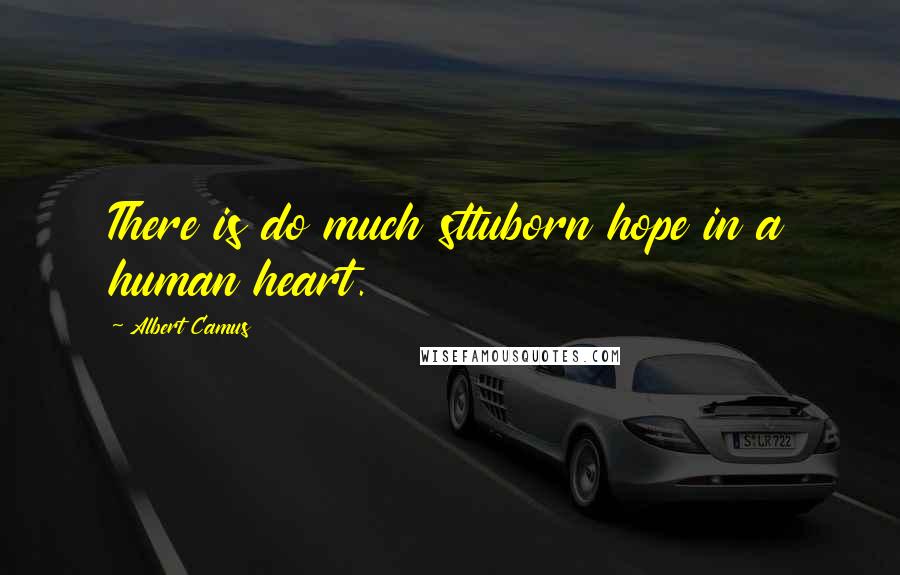 Albert Camus Quotes: There is do much sttuborn hope in a human heart.