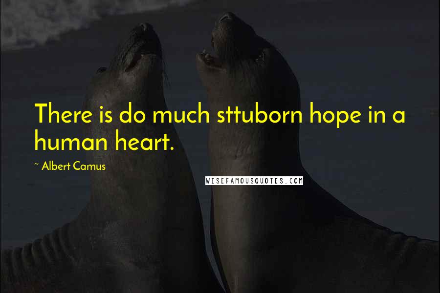 Albert Camus Quotes: There is do much sttuborn hope in a human heart.