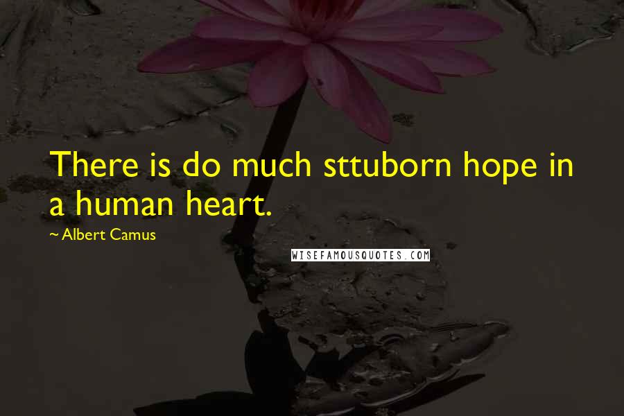 Albert Camus Quotes: There is do much sttuborn hope in a human heart.