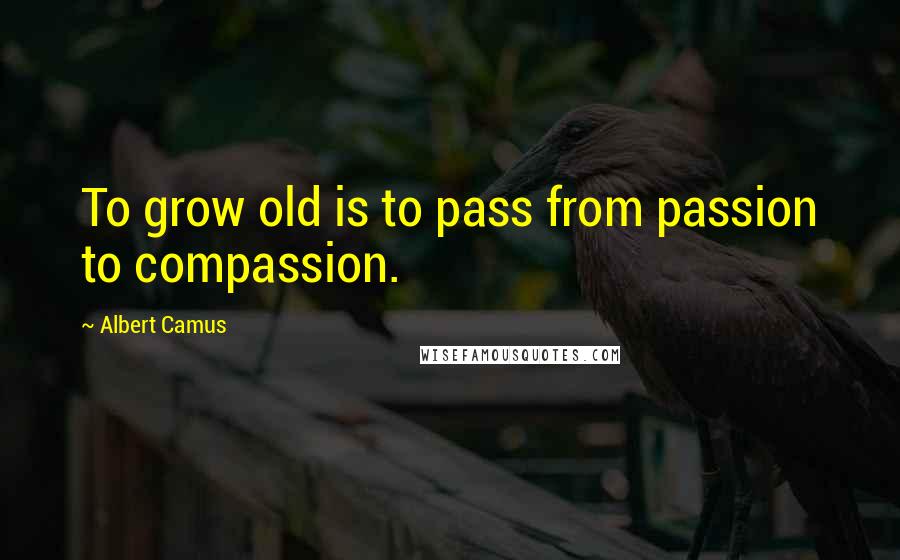 Albert Camus Quotes: To grow old is to pass from passion to compassion.