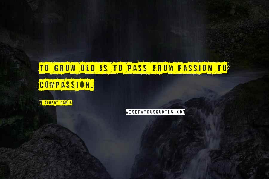 Albert Camus Quotes: To grow old is to pass from passion to compassion.