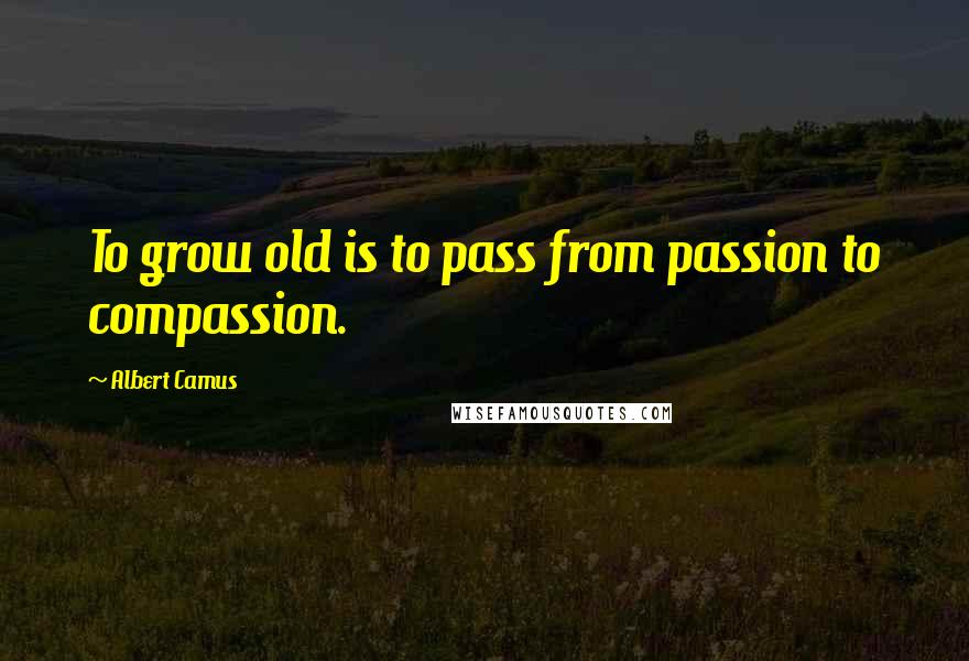 Albert Camus Quotes: To grow old is to pass from passion to compassion.