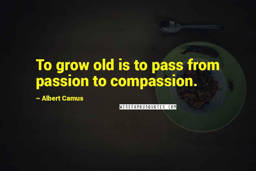 Albert Camus Quotes: To grow old is to pass from passion to compassion.