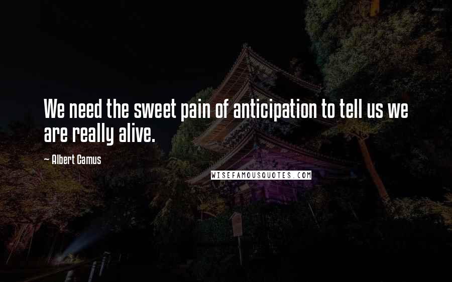 Albert Camus Quotes: We need the sweet pain of anticipation to tell us we are really alive.