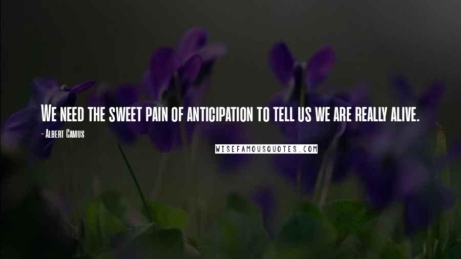 Albert Camus Quotes: We need the sweet pain of anticipation to tell us we are really alive.