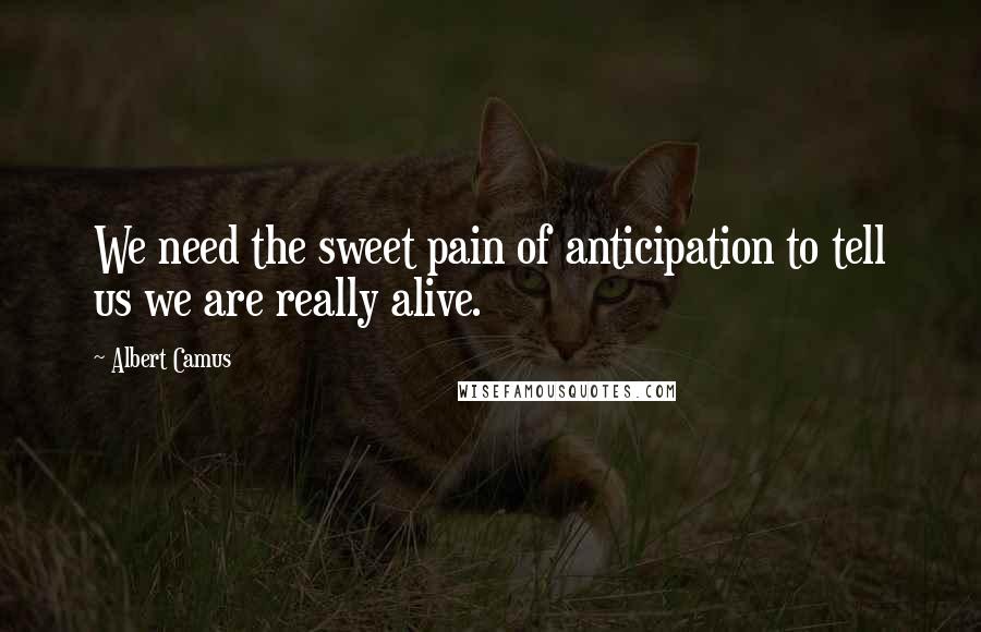 Albert Camus Quotes: We need the sweet pain of anticipation to tell us we are really alive.