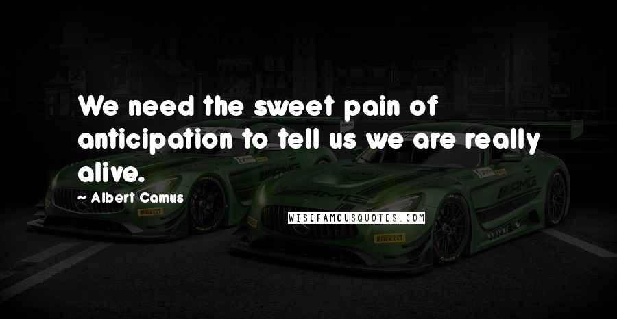 Albert Camus Quotes: We need the sweet pain of anticipation to tell us we are really alive.