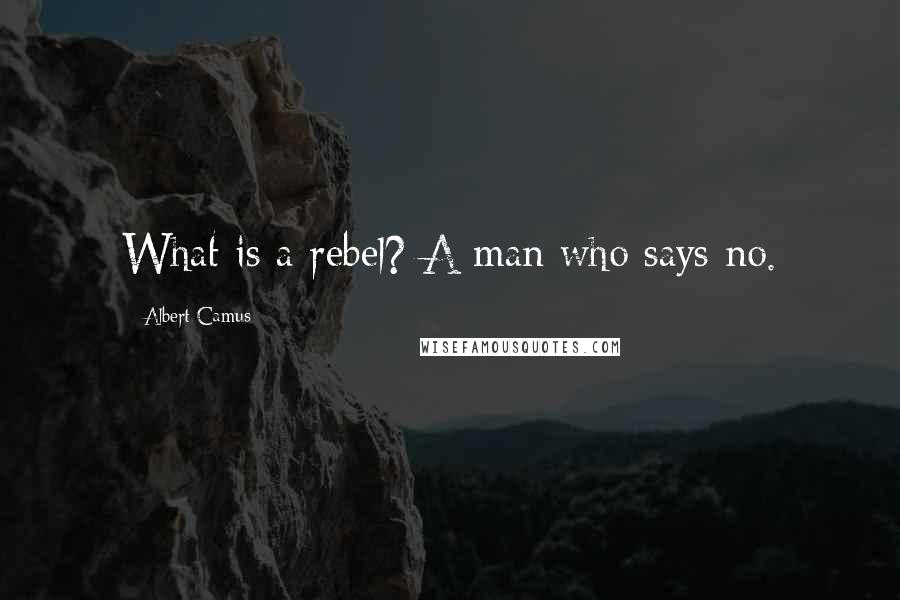 Albert Camus Quotes: What is a rebel? A man who says no.
