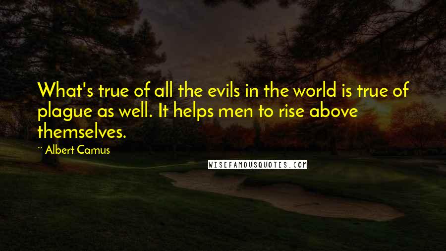 Albert Camus Quotes: What's true of all the evils in the world is true of plague as well. It helps men to rise above themselves.