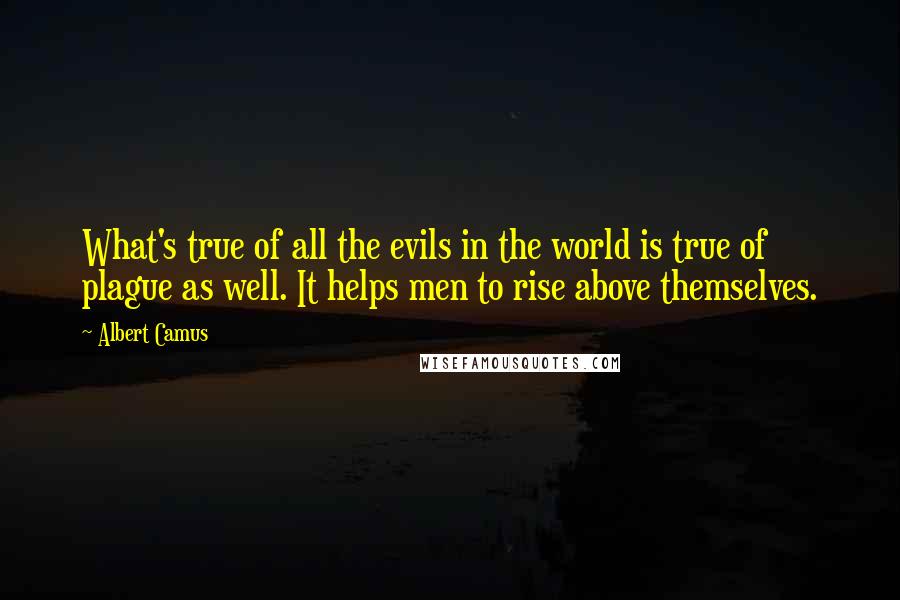 Albert Camus Quotes: What's true of all the evils in the world is true of plague as well. It helps men to rise above themselves.