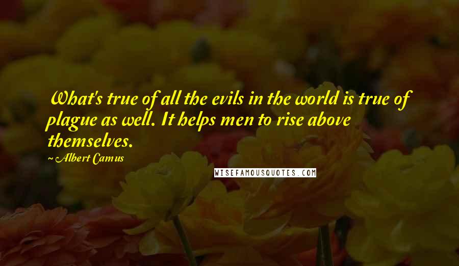 Albert Camus Quotes: What's true of all the evils in the world is true of plague as well. It helps men to rise above themselves.