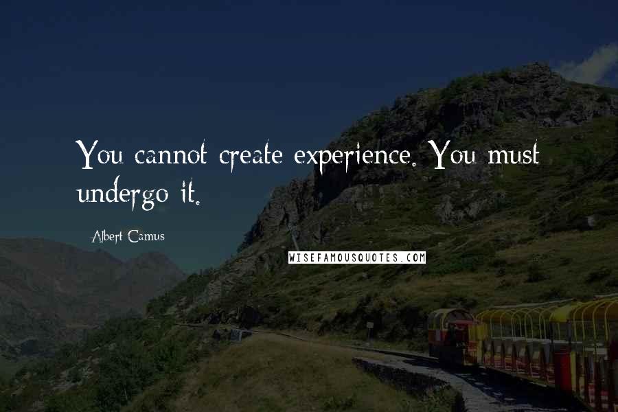 Albert Camus Quotes: You cannot create experience. You must undergo it.