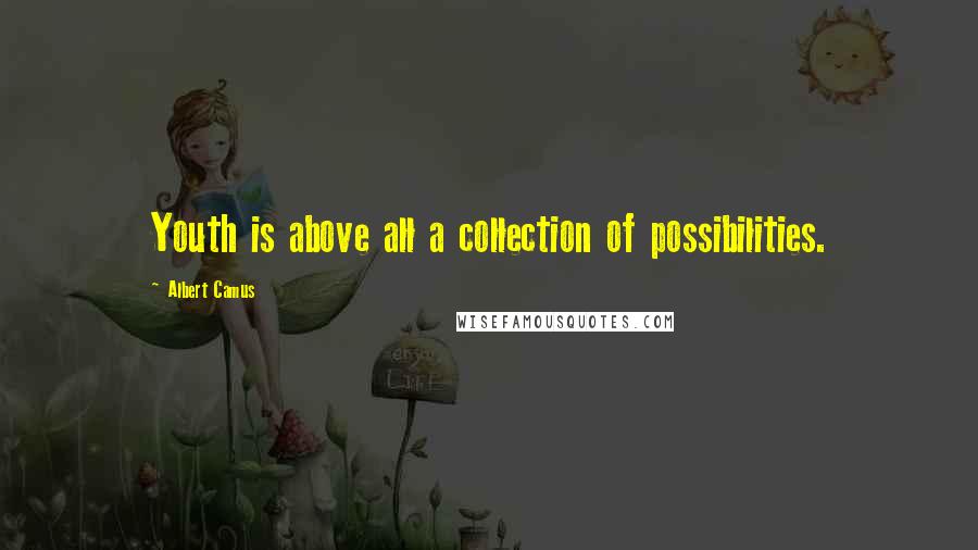 Albert Camus Quotes: Youth is above all a collection of possibilities.