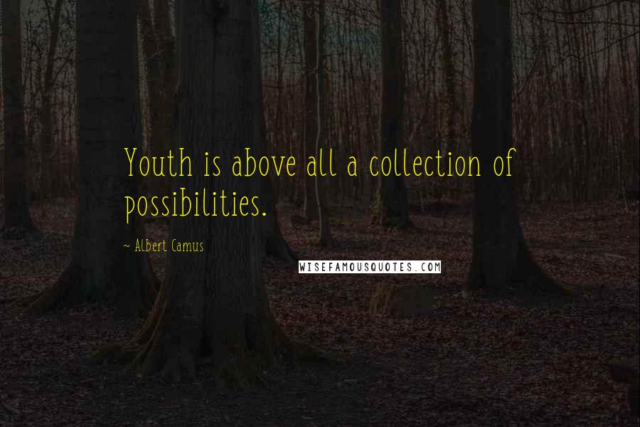 Albert Camus Quotes: Youth is above all a collection of possibilities.