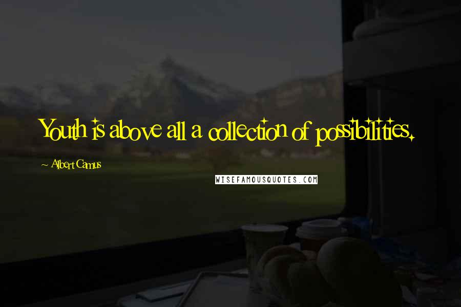 Albert Camus Quotes: Youth is above all a collection of possibilities.
