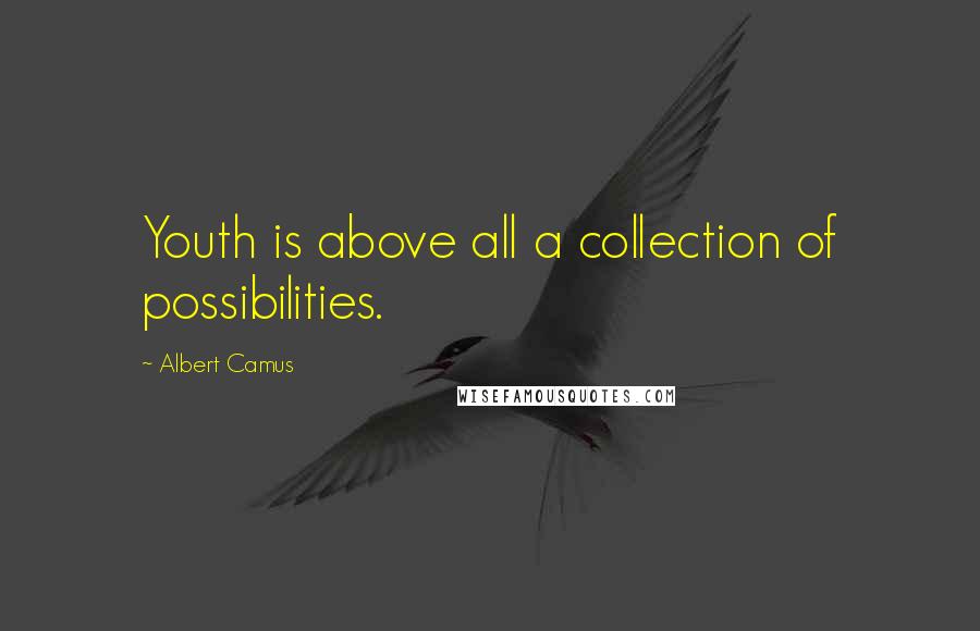 Albert Camus Quotes: Youth is above all a collection of possibilities.