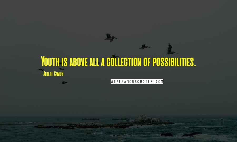 Albert Camus Quotes: Youth is above all a collection of possibilities.
