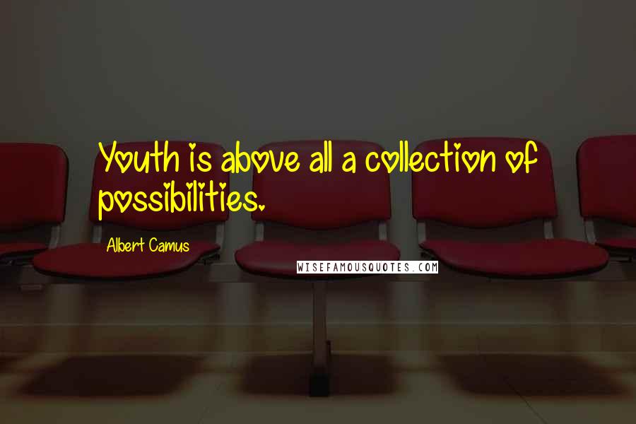 Albert Camus Quotes: Youth is above all a collection of possibilities.