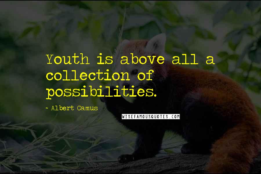 Albert Camus Quotes: Youth is above all a collection of possibilities.