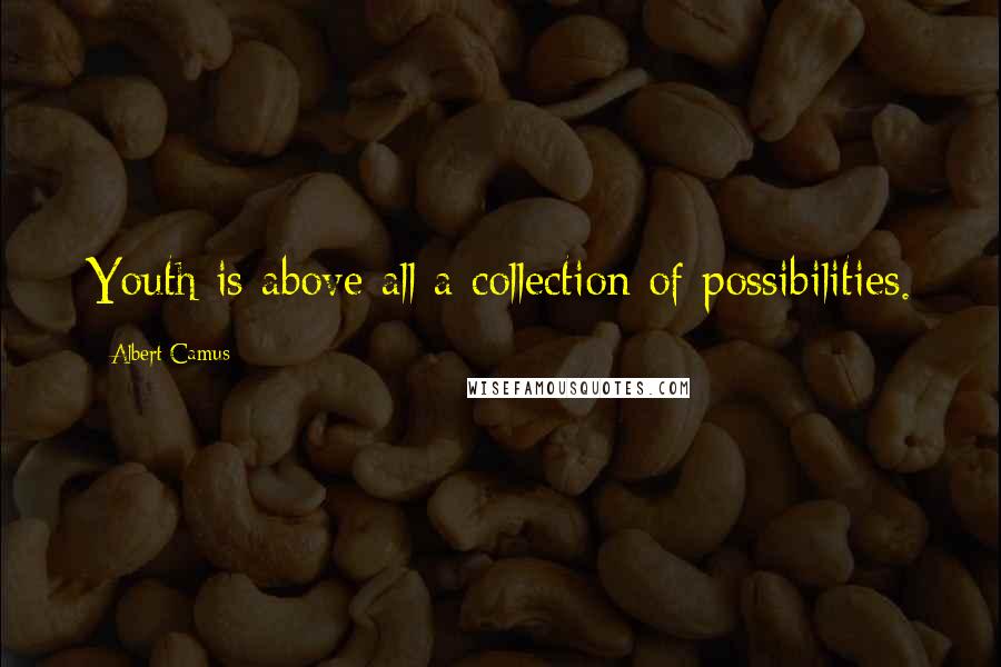 Albert Camus Quotes: Youth is above all a collection of possibilities.
