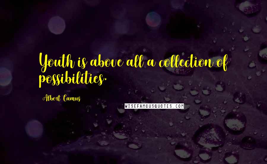 Albert Camus Quotes: Youth is above all a collection of possibilities.