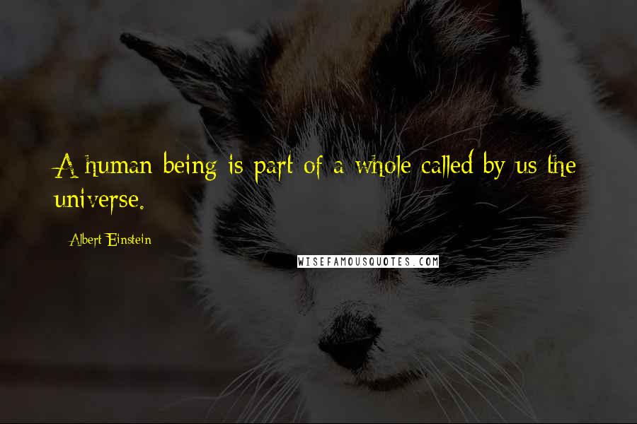 Albert Einstein Quotes: A human being is part of a whole called by us the universe.