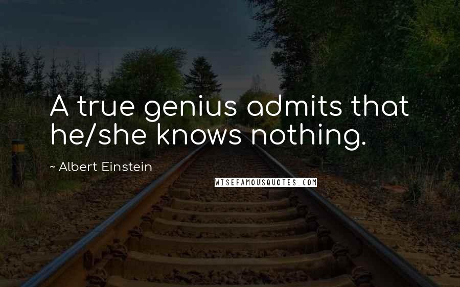 Albert Einstein Quotes: A true genius admits that he/she knows nothing.