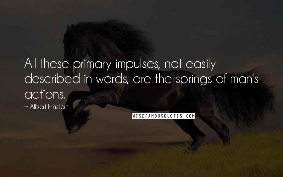 Albert Einstein Quotes: All these primary impulses, not easily described in words, are the springs of man's actions.