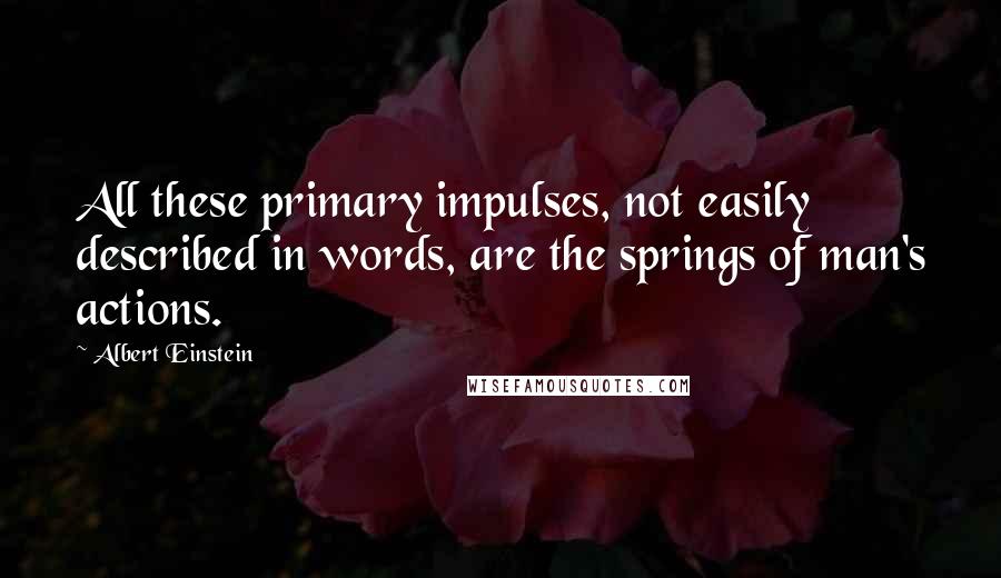 Albert Einstein Quotes: All these primary impulses, not easily described in words, are the springs of man's actions.