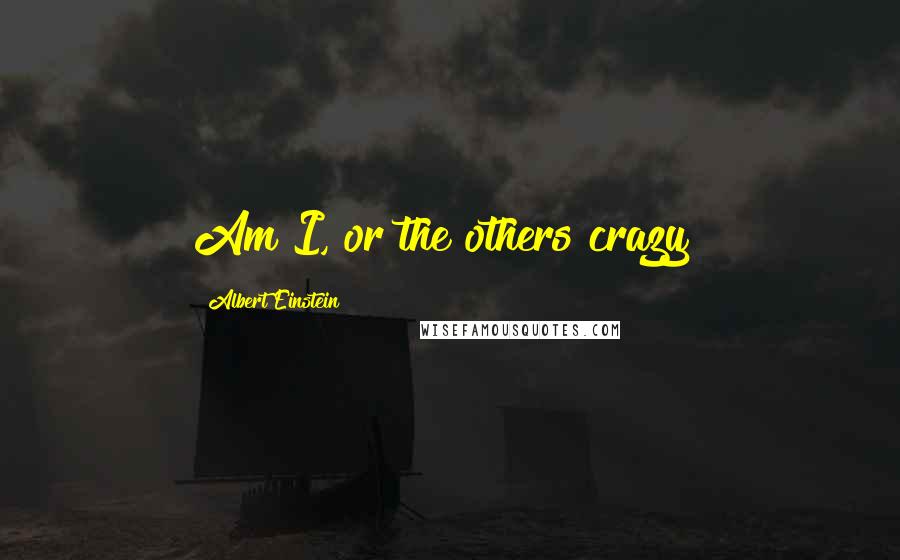 Albert Einstein Quotes: Am I, or the others crazy?