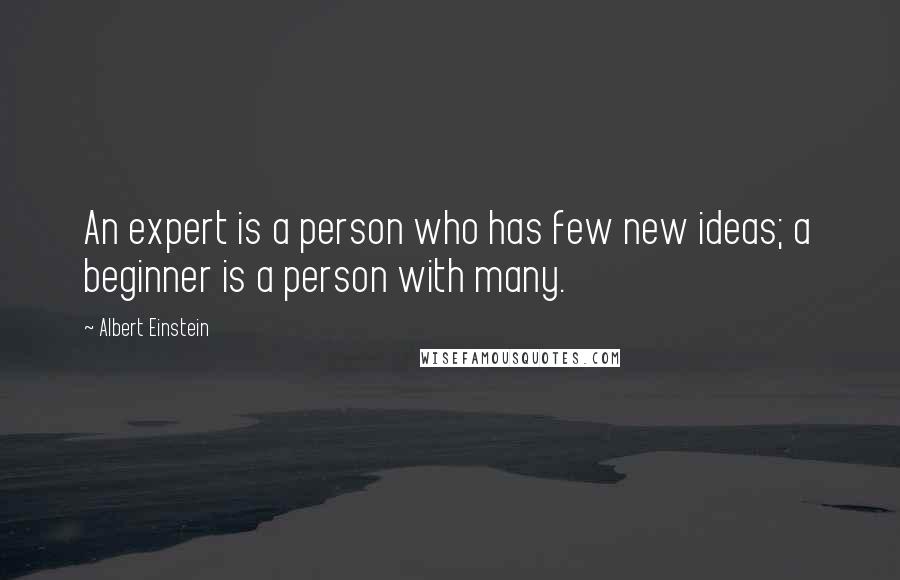 Albert Einstein Quotes: An expert is a person who has few new ideas; a beginner is a person with many.