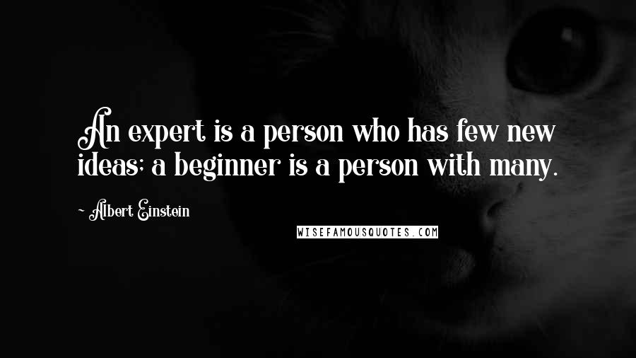 Albert Einstein Quotes: An expert is a person who has few new ideas; a beginner is a person with many.