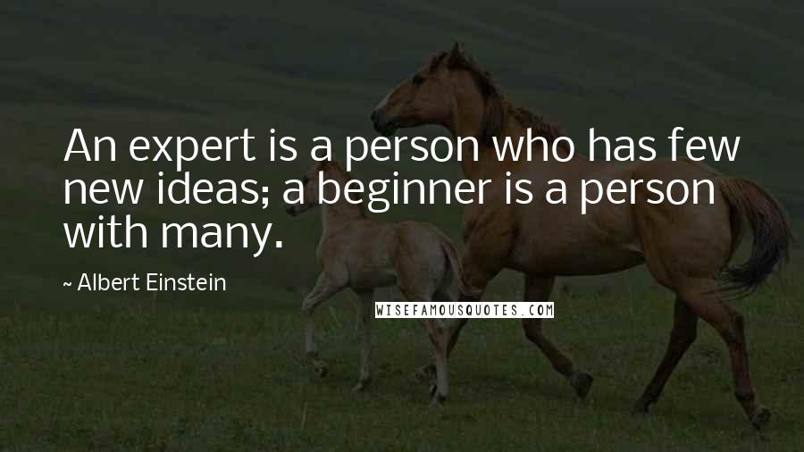 Albert Einstein Quotes: An expert is a person who has few new ideas; a beginner is a person with many.