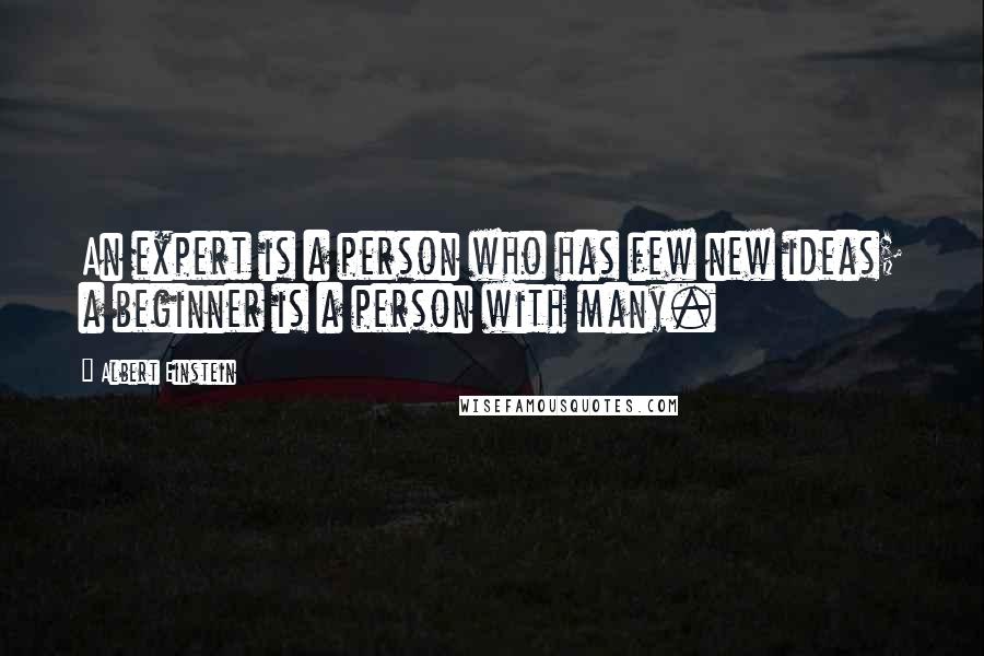 Albert Einstein Quotes: An expert is a person who has few new ideas; a beginner is a person with many.