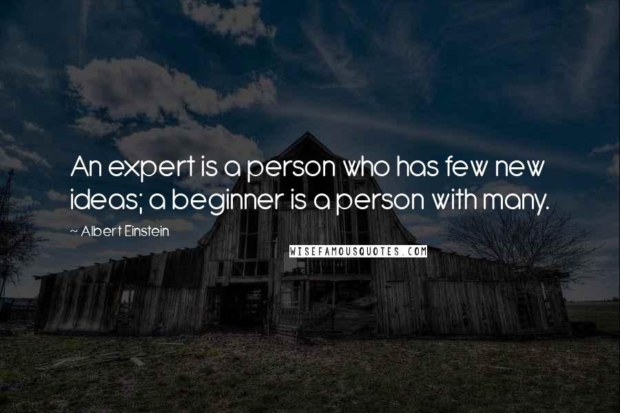 Albert Einstein Quotes: An expert is a person who has few new ideas; a beginner is a person with many.