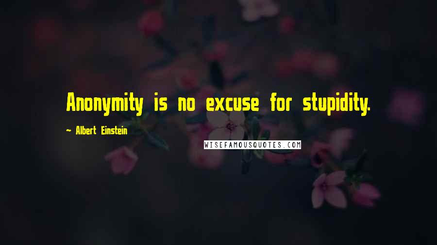 Albert Einstein Quotes: Anonymity is no excuse for stupidity.
