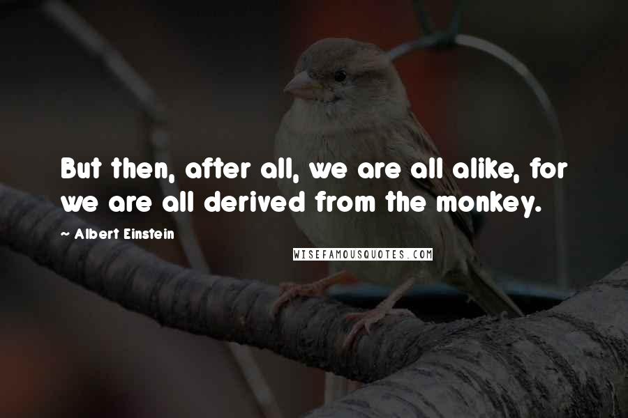 Albert Einstein Quotes: But then, after all, we are all alike, for we are all derived from the monkey.